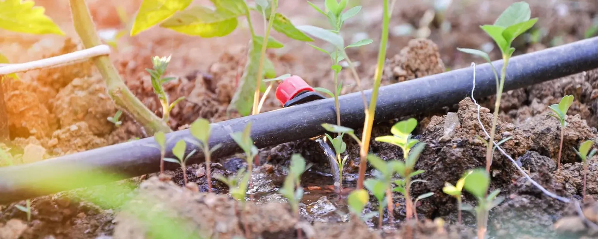 Logo Hunter – The Irrigation Innovators