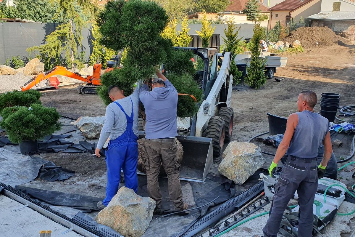 Realizácia záhrady – Malacky Radek