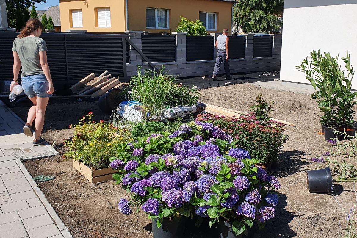 Realizácia záhrady – Rajka