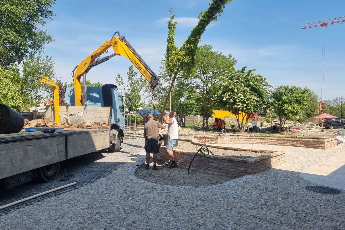 Realizácia záhrady – Stupava