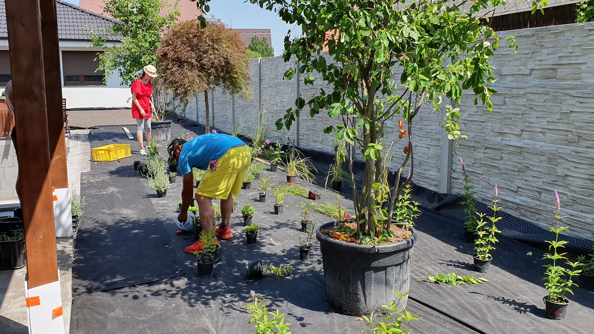 Realizácia záhrady – Hviezdoslavov