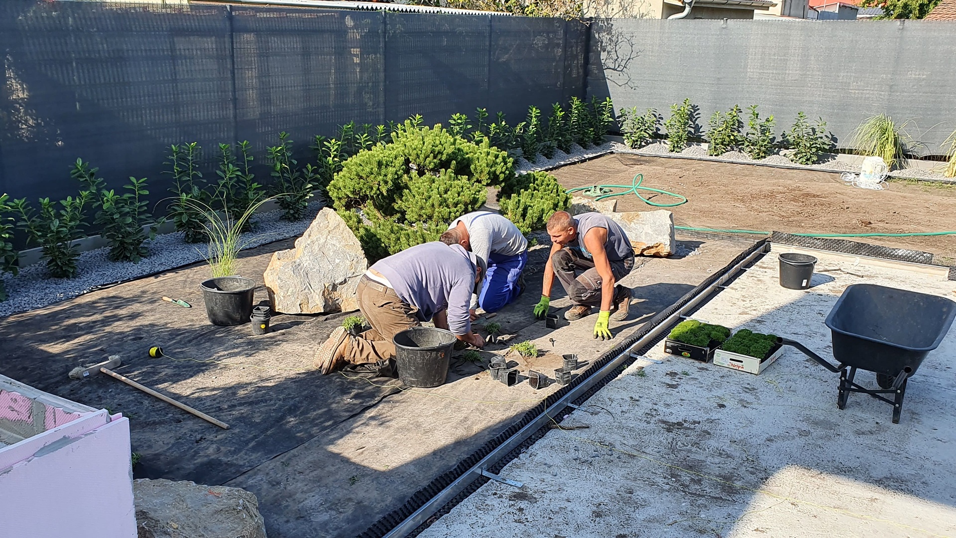 Realizácia štýlovej záhrady v Malackách – kompletná výsadba rastlín popri solitérnych kameňoch