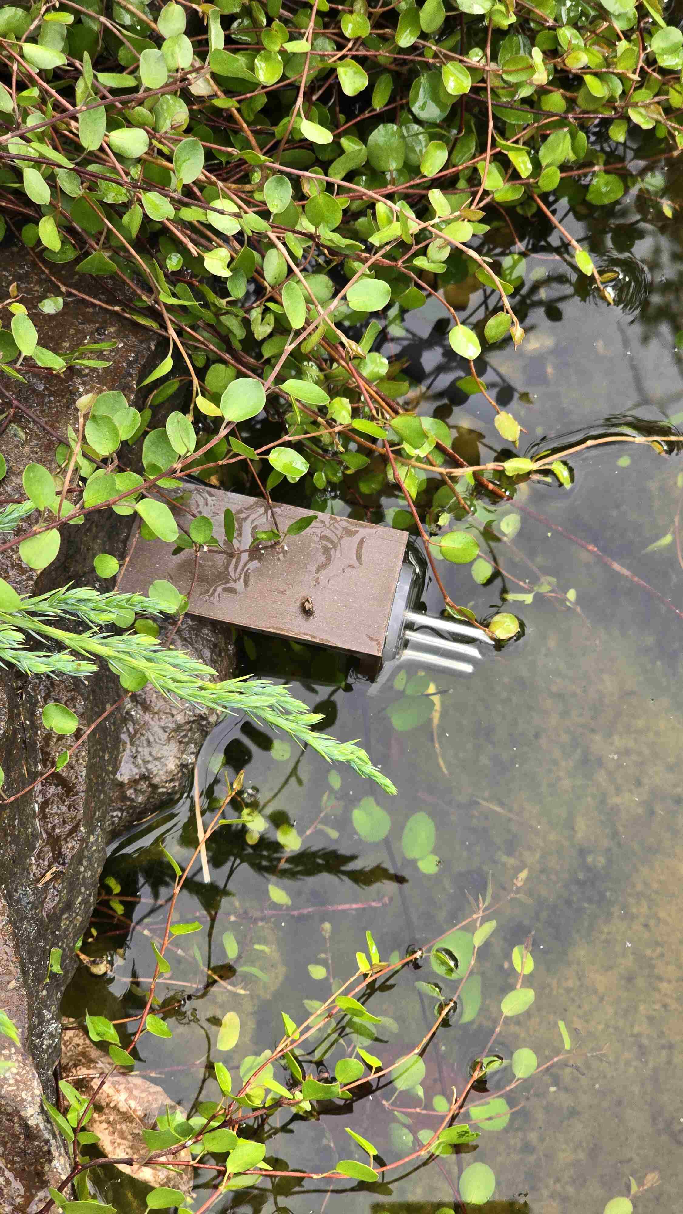 Senzor hladiny v okrasnom jazierku